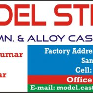 Model Steel Castings
